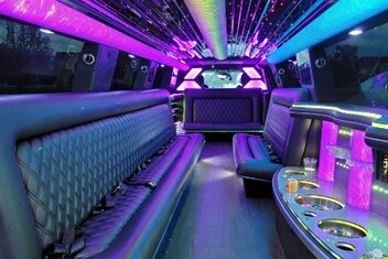 Tamarac Limo Interior